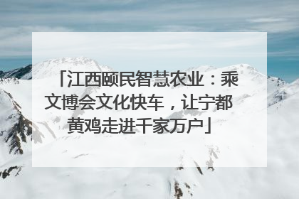江西颐民智慧农业：乘文博会文化快车，让宁都黄鸡走进千家万户